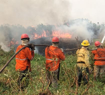 Brigada Alto Pantanal lança campanha #PantanalResiste