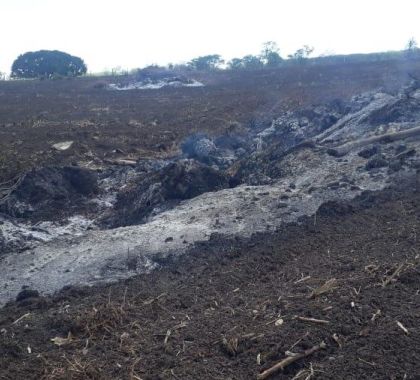 Infrator é multado em R$ 9 mil por incêndio em Miranda