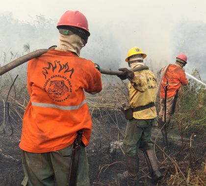 Com meta de arrecadar mais de R$ 600 mil, Brigada Alto Pantanal lança campanha para financiar atividades de 2022