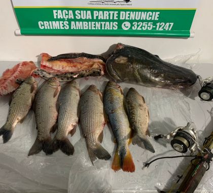 Pescador é multado em R$ 2,36 mil por apreende 18 kg de pescado, acima da cota permitida, em Bonito