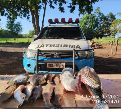 Dois paulistas são multados em R$ 3,5 mil por pesca acima da cota permitida em Bonito