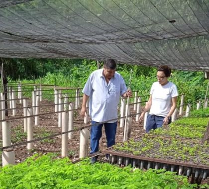 Viveiro de Bonito passa por revitalização e pode receber um Centro de Educação Ambiental