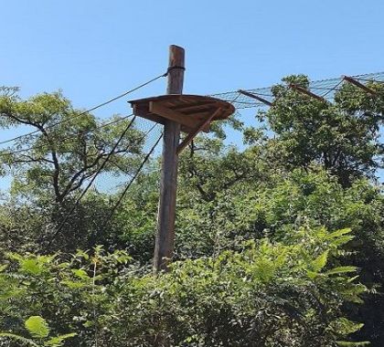 Estrada Viva salva animais silvestres de atropelamentos em Mato Grosso do Sul