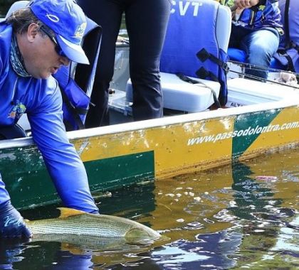 Pesque e Solte está liberado a partir desta terça-feira somente nas calhas dos rios Paraguai e Paraná