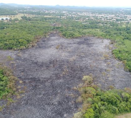 Empresário de Bonito é multado em R$ 46,7 mil por incêndio em sua propriedade, atingindo nascente de córrego protegido