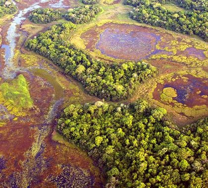 Pantanal ainda sofre com efeitos provocados pela seca severa dos últimos anos em MS