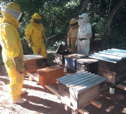 Apicultura avançada é tema de curso em Miranda (MS)