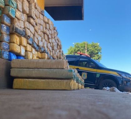 PRF apreende 354 kg de maconha em Guia Lopes da Laguna