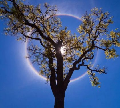 Fotógrafo premiado registra círculo de arco-íris, fenômeno raro, no céu de Bonito