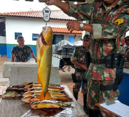 Multa para quem pescar dourado será de R$ 2,7 mil