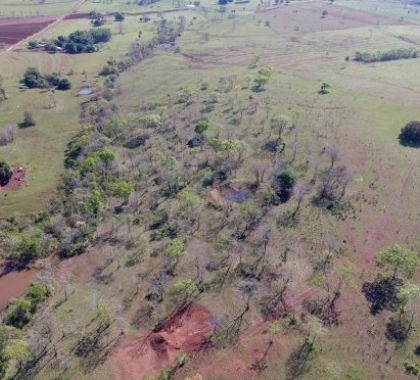 Pecuarista é multada por desmatamento em Nioaque (MS)