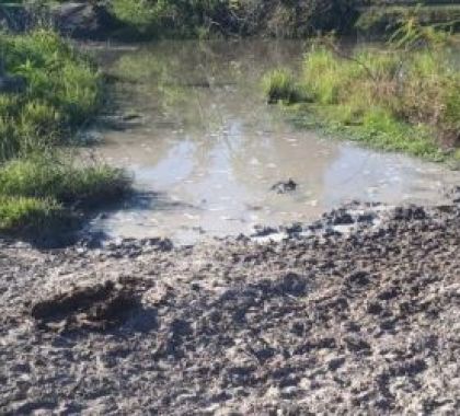 PMA de Três Lagoas multa fazendeira em R$ 23 mil por degradação ambiental