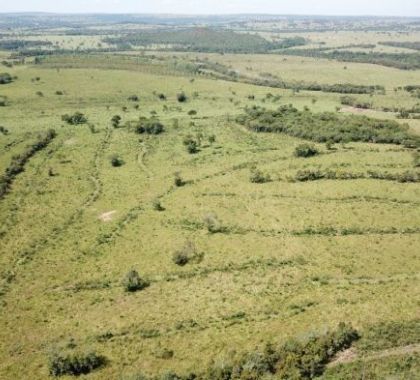 Pecuarista é multado em R$ 73 mil por desmatamento ilegal em Alcinópolis