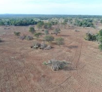 Arrendatário de fazenda em Bonito é multado em R$ 30 mil por desmatamento ilegal