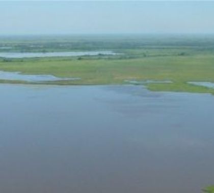 Projeto de lei visa a proibição do plantio de cana-de-açúcar no Pantanal