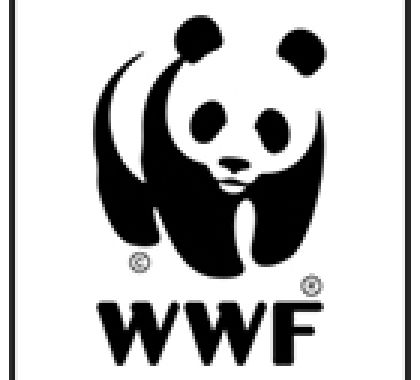 WWF/Brasil lança concurso fotográfico voltado para a região do Pantanal