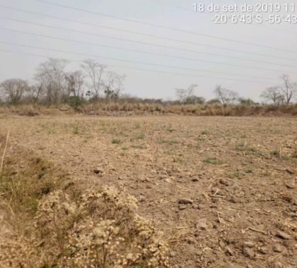 PMA de Miranda autua infrator por desmatamento ilegal de mais de 19 hectares de vegetação