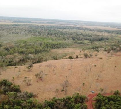 PMA de Jardim autua infrator por desmatamento ilegal de 14,7 hectares