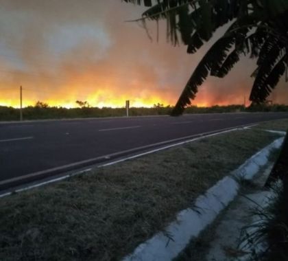 Biomas brasileiros tiveram aumento em focos de incêndio em 2019, aponta Inpe