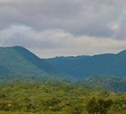 Mato Grosso do Sul abriga maior área contínua de Mata Atlântica no interior do país